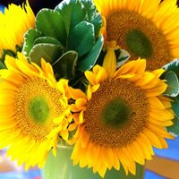 Atsuko Fukuda (@good_living_co) Twitter profile photo