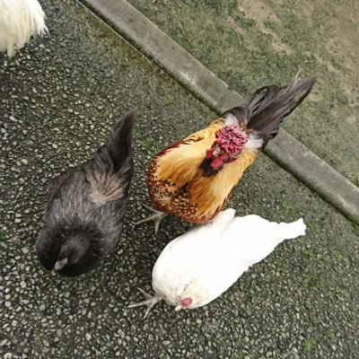 彗さんのプロフィール画像