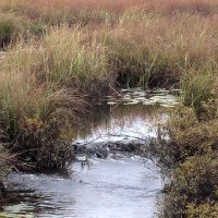 gary martin (@garytakesahike) 's Twitter Profile