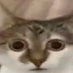 eughhhhhh (@famishedsl7t) Twitter profile photo eughhhhhh (@famishedsl7t) Twitter profile photo