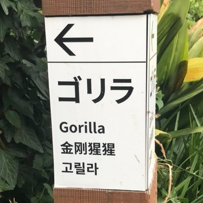 ねさんのプロフィール画像