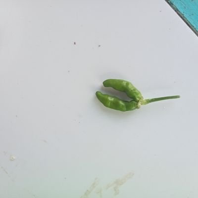 LaaZeii29318's profile picture. 