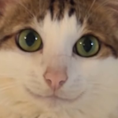 ぽこ.aiさんのプロフィール画像