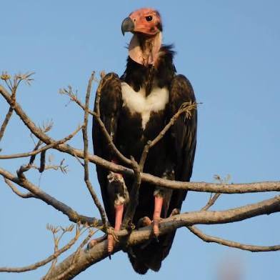 j8svhtpnv9's profile picture. It's a rug pull world!