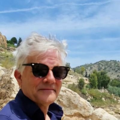 Political scientist who is on leave from their professorship at the University of Kurdistan Hawler (UKH) to serve as an acting professor at Marburg University