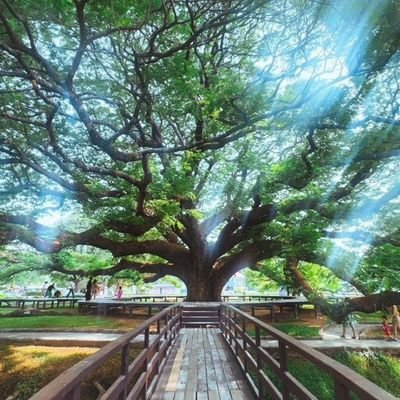 kanlayappporn28's profile picture. #เทศน์อุ้ม 🦝🐱🧸🍞