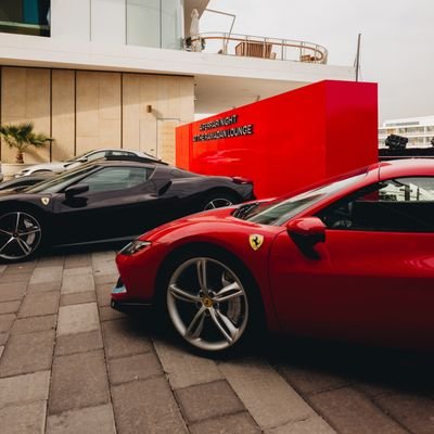 Junior_xx_'s profile picture. @mancity