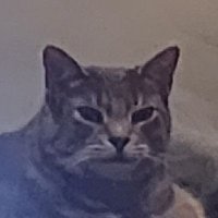 Jakub 🙂 (@positivplanet2) 's Twitter Profile