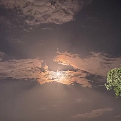 PuravDon's profile picture. 