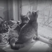 ᥫ᭡ (@longinghearts) 's Twitter Profile Photo