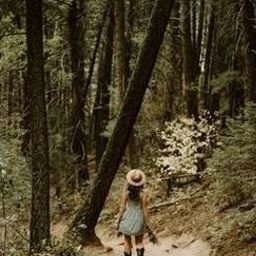 Isoueara1482's profile picture. 