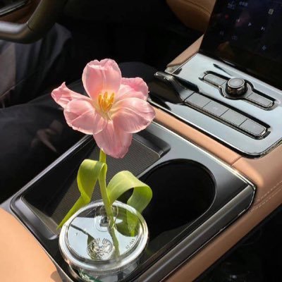 toriechandesu's profile picture. 좋아한다 아닌데 난 사랑하는데