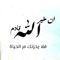 🫡 (@nazo_91) 's Twitter Profile