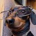 a (@owflore) Twitter profile photo a (@owflore) Twitter profile photo