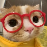 n (@kaikidrat48895) Twitter profile photo