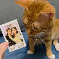 Sasa (@m_sasaaaaa) 's Twitter Profile