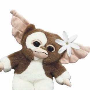 Rooca's profile picture. 旅･植物･カレー・お茶・ダンスが好きです。忘備録