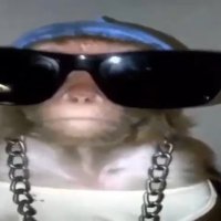 SALTY (@saltyxll) Twitter profile photo