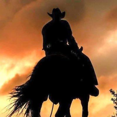 wise295991's profile picture. 