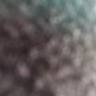 brandon23119's profile picture. 