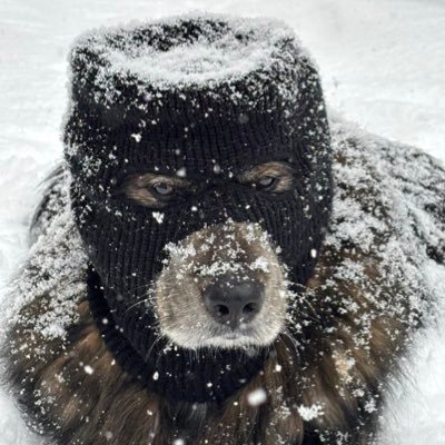 Ski_Nocturne's profile picture. Mask stays on. $SKI