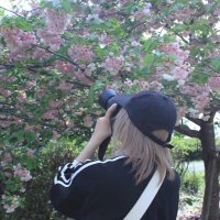 斗綺 (@totk9xx) 's Twitter Profile Photo 斗綺 (@totk9xx) 's Twitter Profile Photo