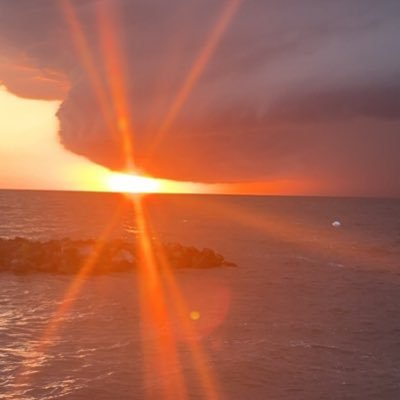 AnnaPlowman4's profile picture. 