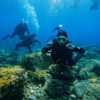 SVVicky_Lee's profile picture. I like to dive underwater and hear the sound of my heartbeat.Under the sea. 
The world is too big to stay in one place. 🇯🇵🇨🇳🇪🇪