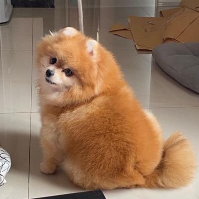 sodaさんのプロフィール画像
