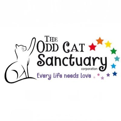 Non-profit organization dedicated to rescuing and finding forever homes for neglected, semi-feral, sick, injured, handicapped and death-row cats and kittens.
