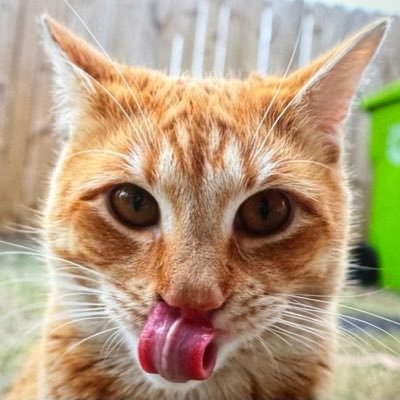 KitiNLala's profile picture. The Official Kiti N Lala twitter