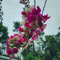 MeHE_r (@m_eher_1) 's Twitter Profile
