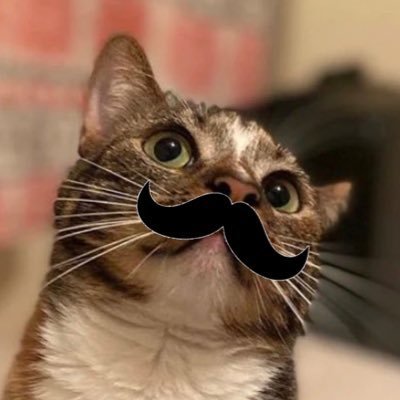 🇦🇺 Patches Stan! ride or die for ts and dteam they deserve all the happiness in the world
