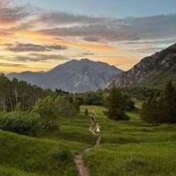 Oofaloulra3246's profile picture. 