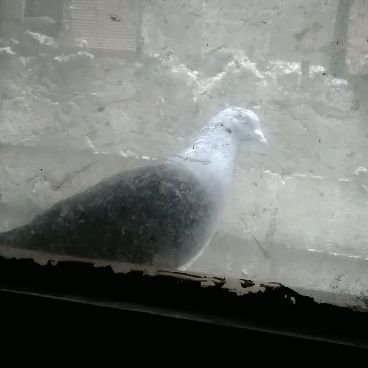 Happymod063's profile picture. 