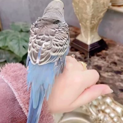 جميلة بذوقي، راقية بحضوري، أنيقة بتفاصيلي، ناجحة بخطواتي، وجاذبيتي مو بس شكل… أسلوب حياة