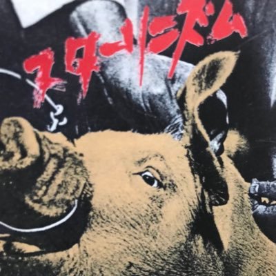 wzT8lziBGy1869's profile picture. 本アカウント@redwolf0119   とりあえずここも残しとくかな ザ・スターリン ファンの老害パンクス  ネトウヨ と 残念なイキモノは粛正しちゃうぞ