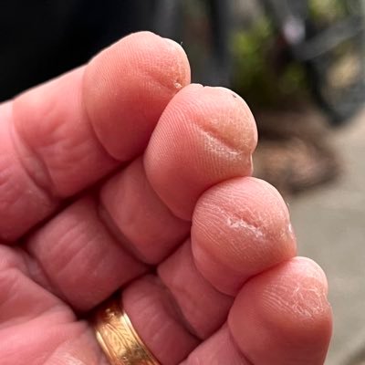 MattGri84628474's profile picture. Politically homeless. Phils, Birds, Guitar, Big Green Egg, Ooni & cooking in general. USAF cook.