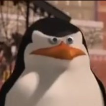 F68807Finn's profile picture. 