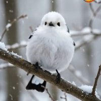 新之助 (@prmntnumx283658) 's Twitter Profile