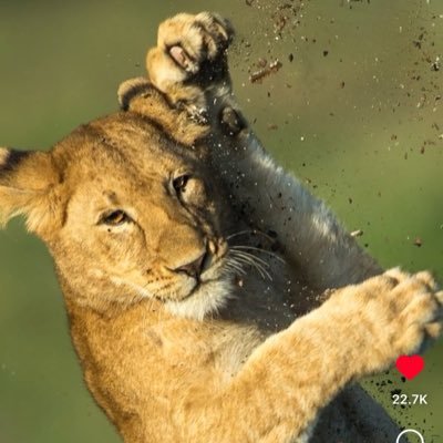 ckeysmaina's profile picture. 