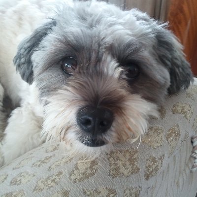 BossenRalp11708's profile picture. #WeAreCharlieKirk #weAreAllSupportingIsrael
