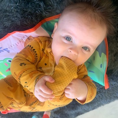 CalzHough's profile picture. 03/11/2020 Caitlin smells                            ❤️🇵🇸Free Palestine  ❤️🇵🇸