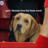 Shed Head (@craigybaby85) 's Twitter Profile Photo