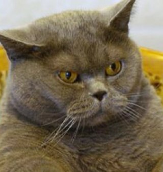 LSkibbe's profile picture. 