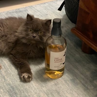 kisumicky's profile picture. crypto , house music ,fitness ,travelled more then 100 countries ,experience rich and not money rich