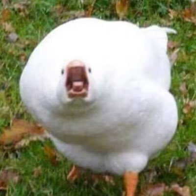 xj8793901069376's profile picture. 