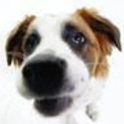 _axelce's profile picture. 