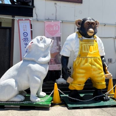 DavMarBur's profile picture. just a hater, but says nice things on occasion