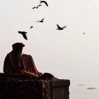 DearSelf (@deear_self) 's Twitter Profile Photo DearSelf (@deear_self) 's Twitter Profile Photo